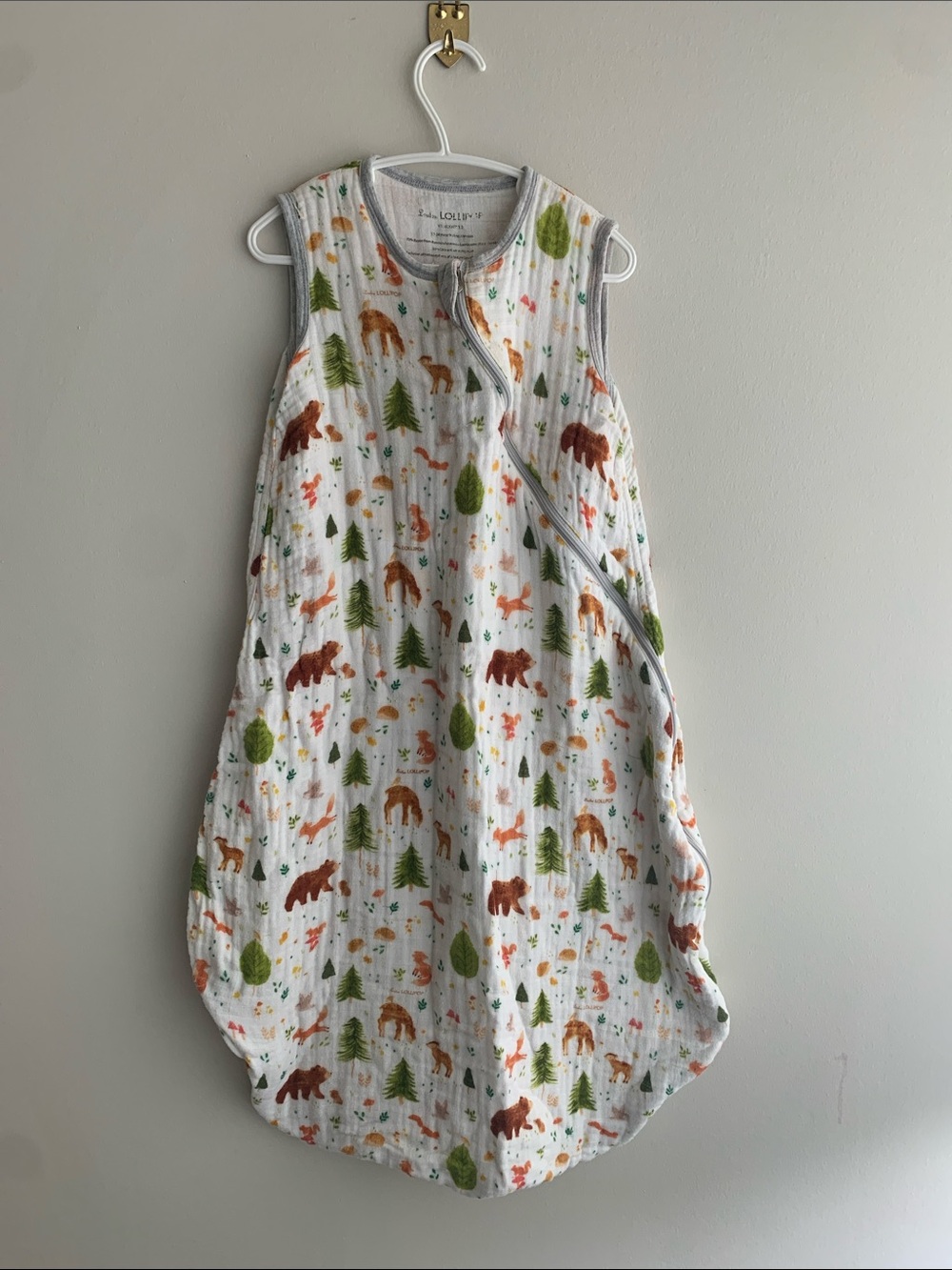 Baby | Loulou Lollipop Cotton-Rayon Gauze TOG 1.0 Sleep Sack | 12-24M